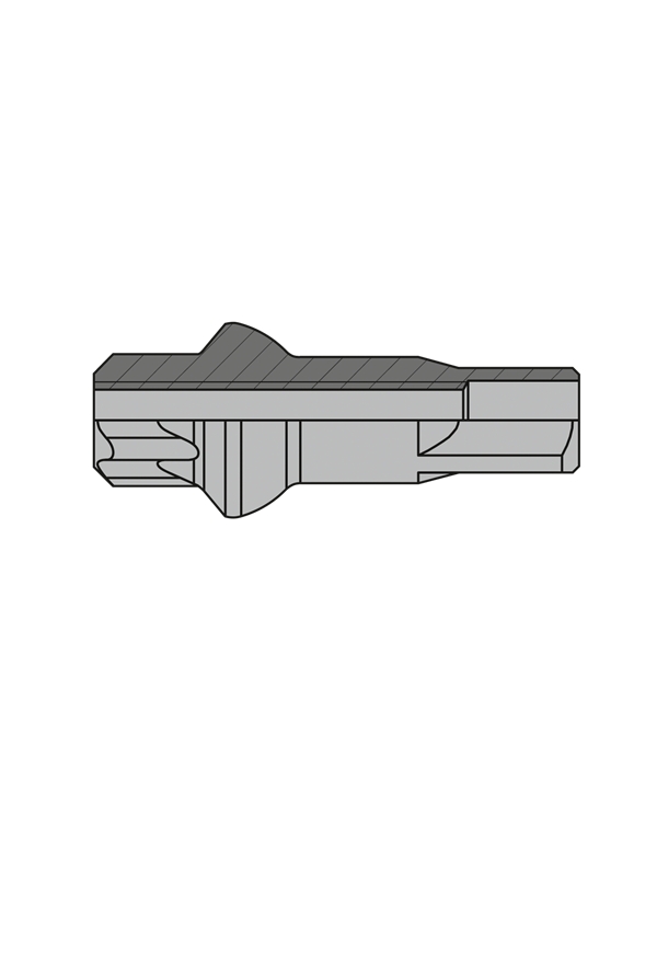 Niple DT Swiss Squorx Pro Lock AL, Silver