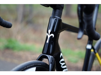 Wilier GARDA Disc+Campagnolo Chorus + FFWD Ryot44 L