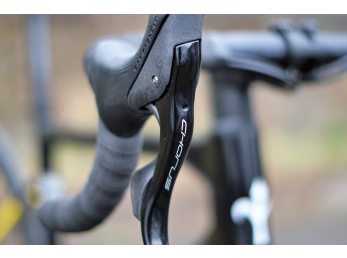 Wilier GARDA Disc+Campagnolo Chorus + FFWD Ryot44 L