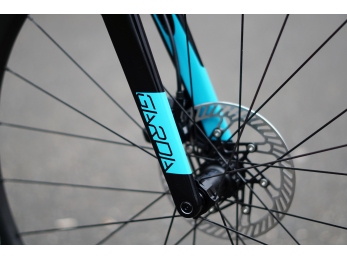 Wilier GARDA Disc+Campagnolo Chorus + FFWD Ryot44 L