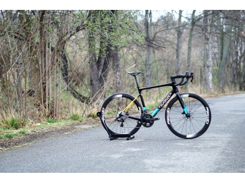 Wilier GARDA Disc+Campagnolo Chorus + FFWD Ryot44 L