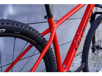 Wilier 101X 29"+XT 1x12 2.0+RECON+MT501 red black M