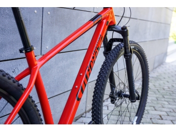 Wilier 101X 29"+XT 1x12 2.0+RECON+MT501 red black M