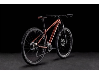 CUBE Access WS PRO RubyMetal´n´Pink 18" 2022