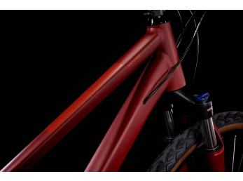 CUBE Nature darkred´n´red 50cm 2022