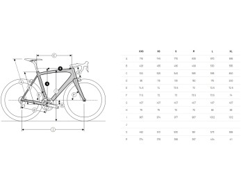 Ridley FALCN Shimano 105, Pearl White + Silver + Black