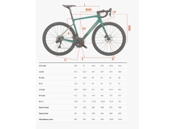 Wilier GARDA Shimano 105 Miche Reflex DX white black S